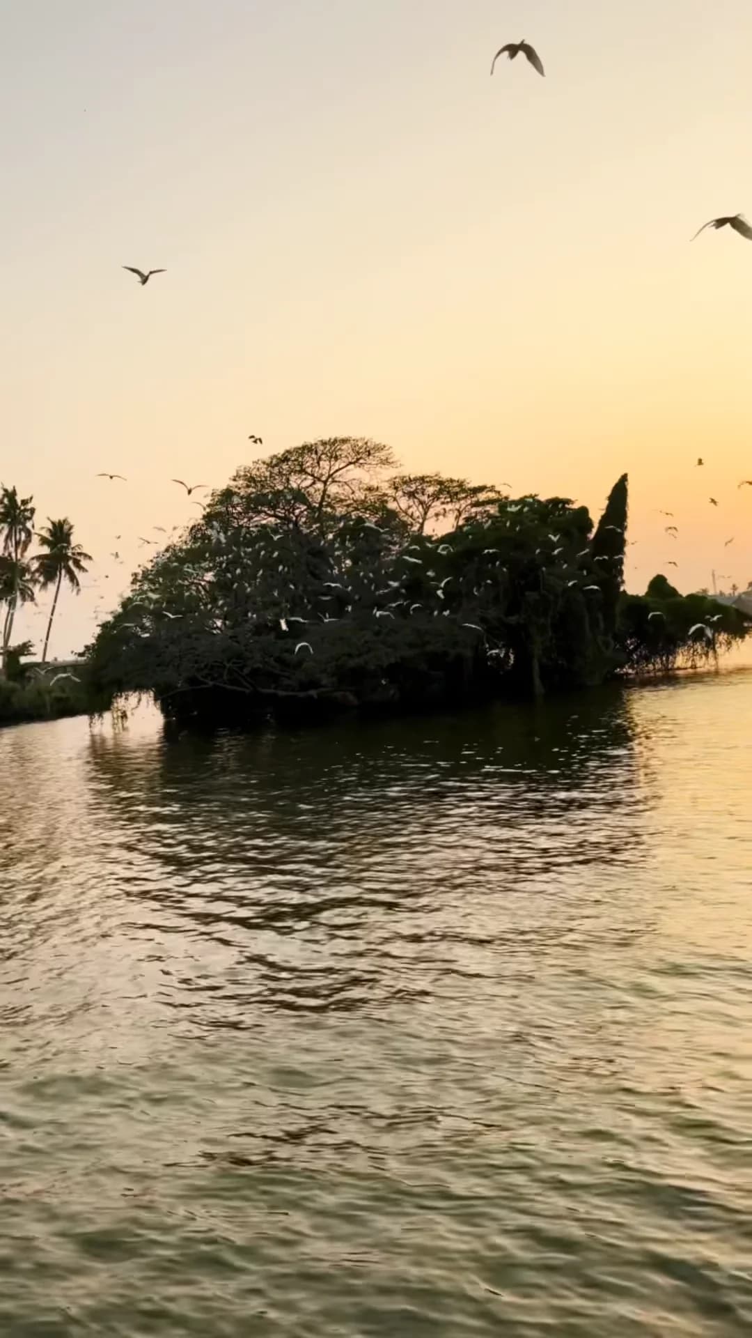 Family on a Kerala houseboat