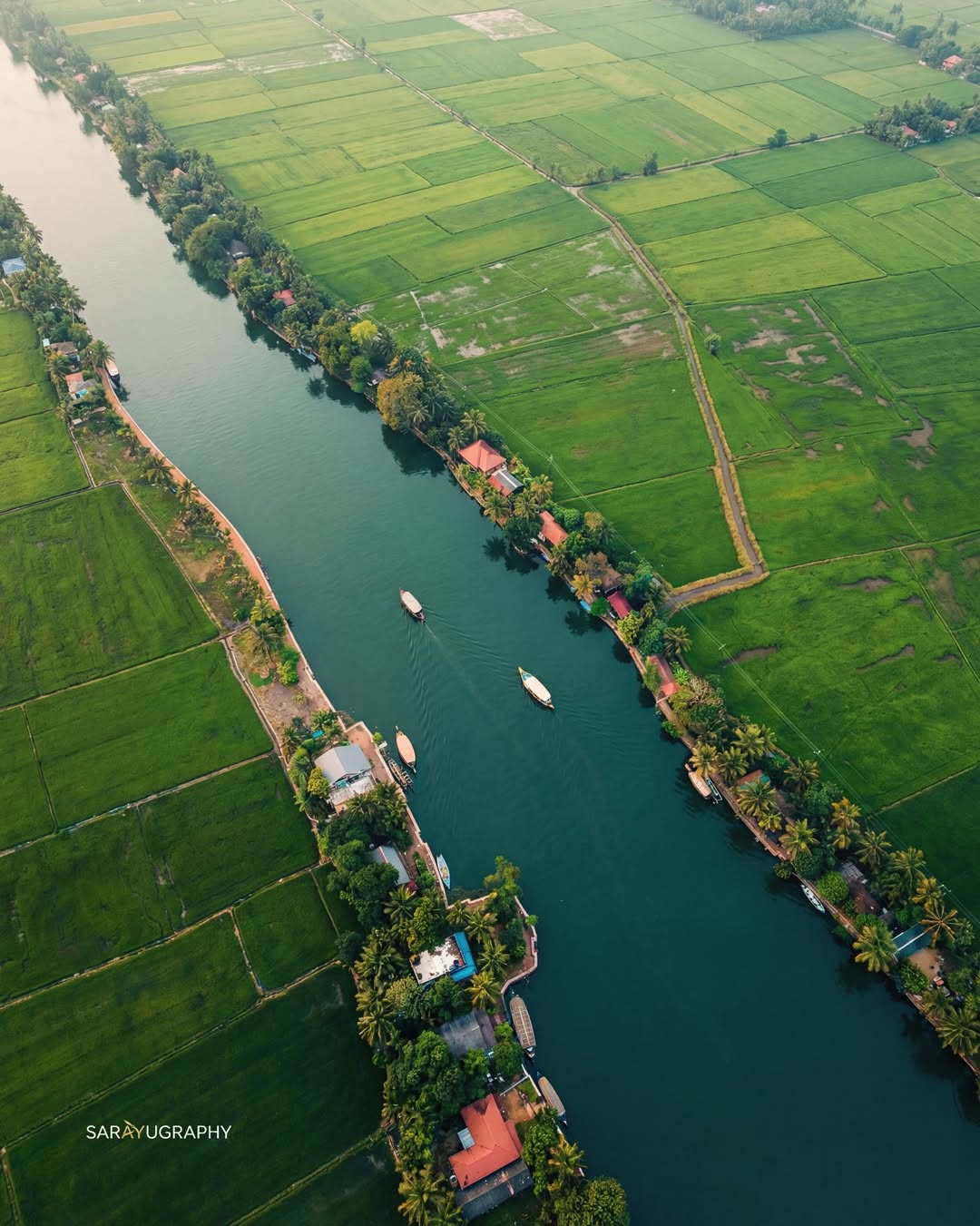 What to Expect on an Alleppey Houseboat: A First-Timer's Guide