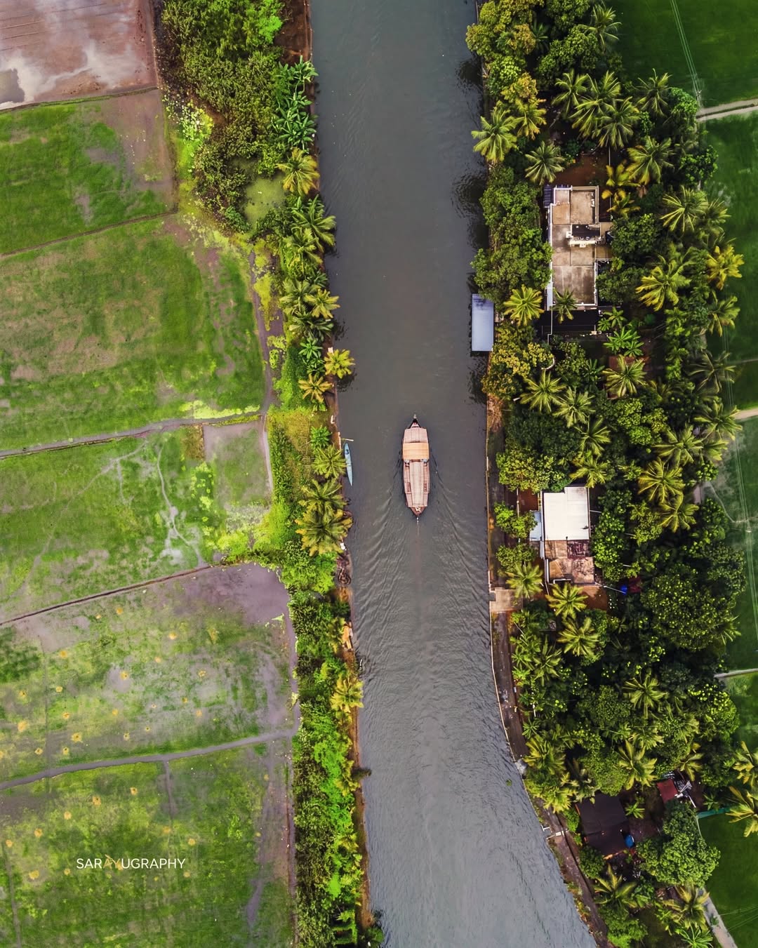 Kerala Houseboat Food: What You'll Eat on the Backwaters